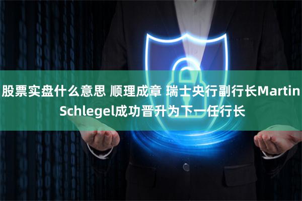 股票实盘什么意思 顺理成章 瑞士央行副行长Martin Schlegel成功晋升为下一任行长