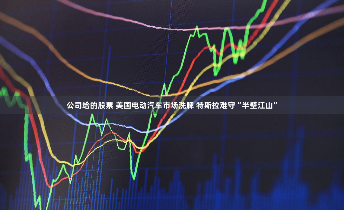 公司给的股票 美国电动汽车市场洗牌 特斯拉难守“半壁江山”