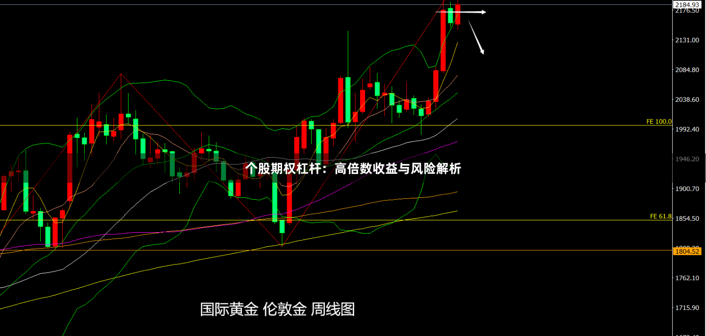 个股期权杠杆:高倍数收益与风险解析